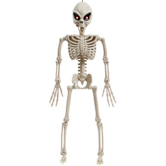 24 inch Skeleton Bones - Alien