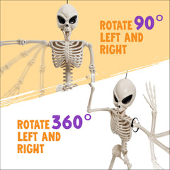 24 inch Skeleton Bones - Alien