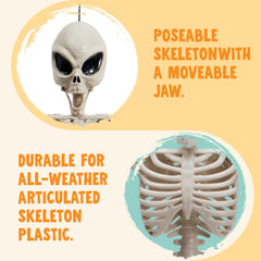 24 inch Skeleton Bones - Alien