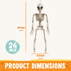 24 inch Skeleton Bones - Alien