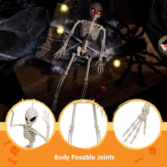 24 inch Skeleton Bones - Alien