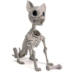 12.5 inch Chihuahua puppy Skeleton