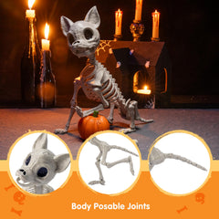 12.5 inch Chihuahua puppy Skeleton