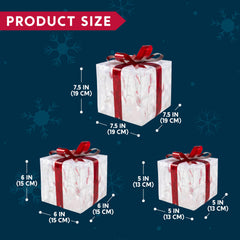 3 LED Yard Lights - 5, 6, 7.5 in Transparent Gift Box (Warm White)