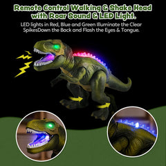 RC Walking & Roaring Dinosaur Toy
