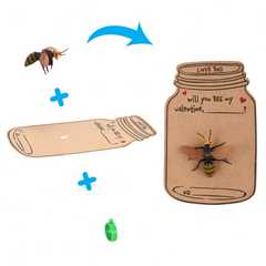 30Pcs Kids Valentines Cards With Bug Toy Set-Classroom Exchange Gifts