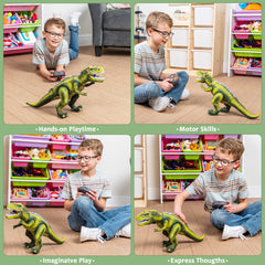 RC Walking & Roaring Dinosaur Toy