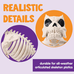 16in Halloween Poseable Puppy Skeleton Pose-N-Stay Plastic Dog Bones