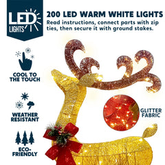 200 LED Lighted Christmas Reindeer and Sleigh Outdoor Decoration