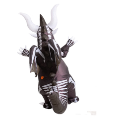 Full Body Dragon Skeleton