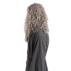 Men Grey Wizard Wig with Beard Cosplay- Adult