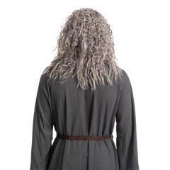 Men Grey Wizard Wig with Beard Cosplay- Adult