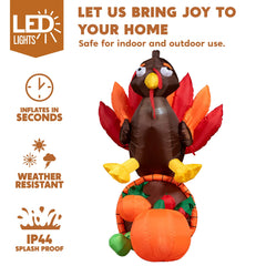 Large Thanksgiving Gobbles the Turkey (6 ft)