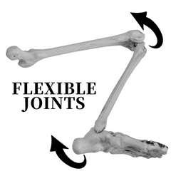Life Size Groundbreaker Skeleton Stakes