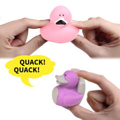 2025 Animal Rubber Ducks Advent Calendar